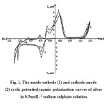 Figure 1; The anode-cathode (1) and cathode-anode (2) cyclic potentiodynamic polarization curves of silver in 0.5molL-1 sodium sulphate solution.