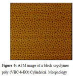 Figure 5: AFM image of a block copolymer poly (VBC-b-EO) Cylindrical Morphology