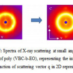 Figure 6: Spectra of X-ray scattering at small angles of the film of poly (VBC-b-EO), representing the intensity I as a function of scattering vector q in 2D representation.