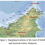 Figure 1: Sampling locations at the coast of Sabah and Sarawak States, Malaysia