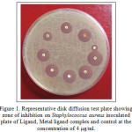 Figure 1: Representative disk diffusion test plate showing zone of inhibition on Staphylococcus aureus inoculated plate of Ligand, Metal ligand complex and control at the concentration of 4 µg/ml.