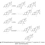 Figure 12: Biotransformations of testosterone (2) by F. culmorum, F. oxysporum, B. cinerea and B. stearithermophilus.