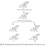 Figure 12: Biotransformations of tibolone (75) by fungal culture of Trichothecium roseum.