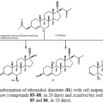 Figure 15: Biotransformation of exemestane (89) with Fusarium lini yielded metabolite 90.