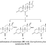 Figure 17: Biotransformation of methyloestrenolone (94) with Macrophomina phaseolina.