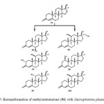 Figure 18: Biotransformation of methyloestrenolone (94) with Aspergillus nige. 