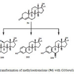 Figure 19: Biotransformation of methyloestrenolone (94) with Gibberella fujikuroi.