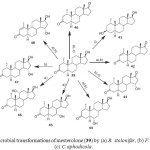 Figure 7: Microbial transformations of mesterolone (39) by (a) R. stolonifer, (b) F. lini, and (c) C.aphodicola.