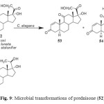 Figure 9: Microbial transformations of prednisone (52).