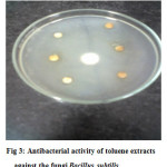 Figure 3: Antibacterial activity of toluene extracts against the fungi Bacillus subtilis.