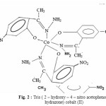 Figure 2 : Tris ( 2 – hydroxy – 4 – nitro acetophenone  hydrazone) cobalt (II)