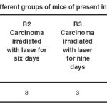 Table (2): Different groups of mice of present investigation