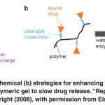 Figure. 3 Physical (a) and chemical (b) strategies for enhancing the interactions between a loaded drug and a polymeric gel to slow drug release. “Reprinted from reference 1, Copyright (2008), with permission from Elsevier.