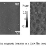 Figure 5. Bubble-like magnetic domains on a ZnO film doped with 0.1 at% Nd