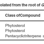 List of compounds isolated from the root of Girardinia heterophylla
