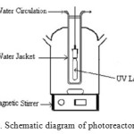 Figure 1. Schematic diagram of photoreactor system.