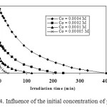 Figure 4. Influence of the initial concentration of phenol.