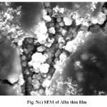 Fig. 5(c): SEM of AlIn thin film