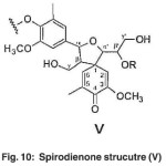 Fig. 10: Spirodienone strucutre (V)