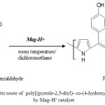 Figure 1. The synthetic route of  poly[(pyrrole-2,5-diyl)- co-(4-hydroxybenzylidene)] (PPHB) by Mag–H+ catalyst
