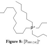 Figure 8: [P666 (14)]+