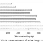 Figure 5 Nitrate concentrations at all nodes along a corn stalk