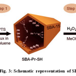 Fig. 3: Schematic representation of SBA-Pr-SO3H