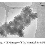 Fig. 3 TEM image of PTA/Si-imid@ Si-MNPs