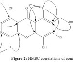 Figure 2: HMBC correlations of compound 1.