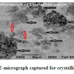 Fig.2    SE-micrograph captured for crystalline asprin