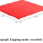 Fig.3b 3D-AFM-Nanograph Tapping mode  recorded for crystalline asprin 