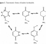 Figure 1. Tautomeric forms of maleic hydrazide.