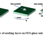 Fig.1:  Schematic of seeding layer on ITO-glass substrate by spin-coating method.