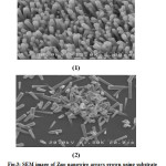 Fig.3: SEM image of Zno nanowire arrays grown using substrate seeding method: (1) spin coating (2) twice-performed spin coating 