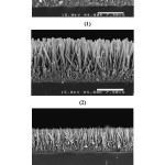 Fig.4: SEM images of the longest ZnO nanowires grown at different microwave power levels: (1) 180W 80 min (2) 450 W 50 min (3) 850 W 30 min, without any growth solution refreshment.