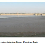 PLATE-02-Out flow pond of jorbir wastewater treatment plant at Bikaner Rajasthan, India