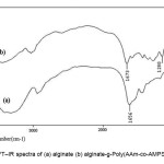 Figure 1. FT–IR spectra of (a) alginate (b) alginate-g-Poly(AAm-co-AMPS) copolymer 