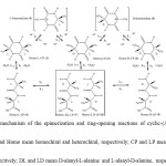 Figure1.Predicted mechanism of the epimerization and ring-opening reactions of cyclic-(Ala-Ala) in aqueous solutions. 