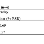 Table 3: Results for Precision (n=6)