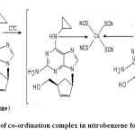 Scheme 1- Extraction of co-ordination complex in nitrobenzene for abacavir sulphate