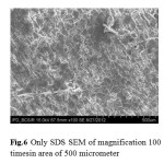 Fig.6 Only SDS SEM of magnification 100 timesin area of 500 micrometer