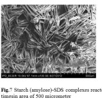Fig.7 Starch (amylose)-SDS complexes reacted timesin area of 500 micrometer