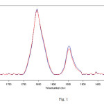 Fig. 1 - Representative infrared spectra from 1800 to 1400 cm-1 of hemoglobin in bidistilled water solution after 4 h of exposure to 50 Hz frequency EMF at 1 mT (red lines represent exposed samples spectra). The amide I and II regions are evidenced. The decrease in intensity after exposure was significant in particular in the amide II region.