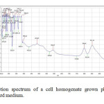 Figure 1: Absorption spectrum of a cell homogenate grown phototrophically in standard medium.