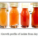 Figure 2: Growth profile of isolate from day 0 to day 5 