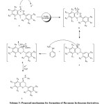 Scheme 3: Proposed mechanism for formation of flavanone hydrazone derivatives.