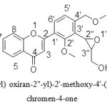 Fig.1: 2-[3'-(3"-(hydroxymethyl) oxiran-2"-yl)-2'-methoxy-4'-(methoxymethyl) phenyl]-4H-chromen-4-one