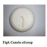 Fig6. Canola oil soap  