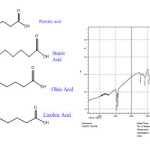 Fig8. Mechanism of the decomposition of iron oleate for magnetite nanocrystals.