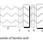 Figure 4: Triglyceride of linoleic acid